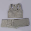 Women Seamless Long Sleeve Yoga Set 2 Piece Sports Bra Top+Pants Sportswear Tracksuit Gym Fitness Leggings Costume Jogging Suit