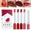 4 Colors Makeup Lipstick Cosmetics Lipstick Set Lip Tint Lip Gloss Waterproof Maquillaje Matte Long Lasting Make Up Pomade TSLM4