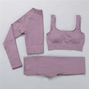 2/3Pcs Sports Yoga Set Women Tracksuit Athletic High Waist Seamless Leggings Outfit Workout Sportswear Gyms Crop Top Sports Bra