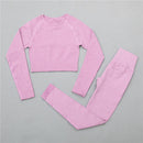 2/3Pcs Sports Yoga Set Women Tracksuit Athletic High Waist Seamless Leggings Outfit Workout Sportswear Gyms Crop Top Sports Bra