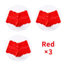 3Pcs Sexy Lace Panties Underwear Woman Comfortable Lingerie Female Intimates Transparent Panty Nylon Women's Underpants