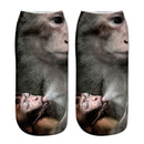 Cartoon Cat Sock 3D Cat Printed Cotton Anklet Socks Low Cut Sports Sock Cute Designer Women Girl Casual Socks