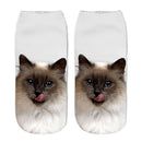 Cartoon Cat Sock 3D Cat Printed Cotton Anklet Socks Low Cut Sports Sock Cute Designer Women Girl Casual Socks