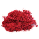 20/40g Artificial Green Plants Eternal Life Moss Grass Home Living Room Garden Decoration Mini Landscape Fake Flower DIY Crafts