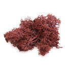 20/40g Artificial Green Plants Eternal Life Moss Grass Home Living Room Garden Decoration Mini Landscape Fake Flower DIY Crafts