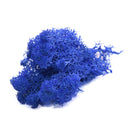 20/40g Artificial Green Plants Eternal Life Moss Grass Home Living Room Garden Decoration Mini Landscape Fake Flower DIY Crafts