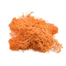 20/40g Artificial Green Plants Eternal Life Moss Grass Home Living Room Garden Decoration Mini Landscape Fake Flower DIY Crafts