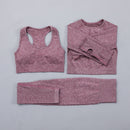 Seamless Women  yoga set Workout Gym Long Sleeve Fitness Crop Top High Waist Leggings Sport Clothing Suits