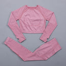 Seamless Women  yoga set Workout Gym Long Sleeve Fitness Crop Top High Waist Leggings Sport Clothing Suits