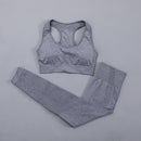 Seamless Women  yoga set Workout Gym Long Sleeve Fitness Crop Top High Waist Leggings Sport Clothing Suits