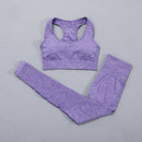 Seamless Women  yoga set Workout Gym Long Sleeve Fitness Crop Top High Waist Leggings Sport Clothing Suits