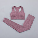 Seamless Women  yoga set Workout Gym Long Sleeve Fitness Crop Top High Waist Leggings Sport Clothing Suits