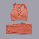 Women Seamless Long Sleeve Yoga Set 2 Piece Sports Bra Top+Pants Sportswear Tracksuit Gym Fitness Leggings Costume Jogging Suit