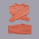 Women Seamless Long Sleeve Yoga Set 2 Piece Sports Bra Top+Pants Sportswear Tracksuit Gym Fitness Leggings Costume Jogging Suit