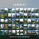 Warm 50pcs/lot INS Natural Scenery Stationery Stickers Aesthetic Travel Book Cute Craft Diary Ablum Bullet Journal Scrapbooking
