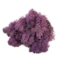 20/40g Artificial Green Plants Eternal Life Moss Grass Home Living Room Garden Decoration Mini Landscape Fake Flower DIY Crafts