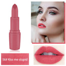 20 Color Matte Lipstick Lip Liner 2 In 1 Brand Makeup Lipstick Matte Durable Waterproof Nude Red Lipstick Lips Make Up