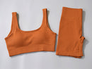 Women Seamless Yoga Sets Ribbed Workout Sets High Waisted Fitness Shorts Sexy Sports Bra with Padded Outdoor Clothing