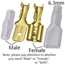 100Pcs 2.8mm 4.8mm 6.3mm Plug Spring Female Male Spade Cold Crimp Terminals Connector Car Speaker Electrical Wire Connectors Set