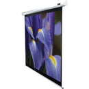 Projectors & Accessories Spectrum Series Electric Screen (120"; 72"H x 96"W; 4:3 Format) Petra Industries