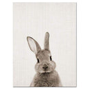 Rabbit Bunny Butt Tail Canvas Art Poster Woodland Baby Animal Nursery Print Painting Wall Picture for Living Room Decor JadeMoghul Inc.