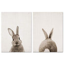 Rabbit Bunny Butt Tail Canvas Art Poster Woodland Baby Animal Nursery Print Painting Wall Picture for Living Room Decor JadeMoghul Inc.