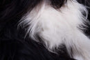 Rugs Black Bathroom Rugs - 24" x 36" x 1.5" x 2" Black And White Spotted Sheepskin Single Long-Haired - Area Rug HomeRoots