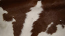Rugs Brown Rug - 24" x 36" Brown And White Calfskin - Area Rug HomeRoots