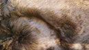 Rugs Brown Rug - 60" x 96" Brown, Buffalo Hide - Area Rug HomeRoots