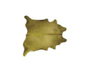 Rugs Cow Rug - 60" x 84" Lime Cowhide - Area Rug HomeRoots
