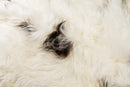 Rugs Cow Skin Rug - 48" x 72" x 2" Spotted Sheepskin Long-Haired - Area Rug HomeRoots
