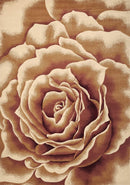 Rugs Ivory Shag Rug 2'3" x 3'3" Polypropylene Ivory Area Rug 3291 HomeRoots