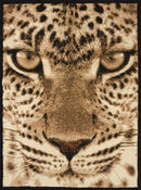 Rugs Rugs For Sale 63" x 86" x 0.31" Multi Polypropylene Area Rug 9503 HomeRoots
