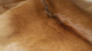 Rugs Tan Rug - 24" x 36" x 1.5" Tan Calfskin - Area Rug HomeRoots