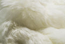 Rugs White Area Rug - 24" x 36" x 2" White Sheepskin Single Short-Haired - Area Rug HomeRoots