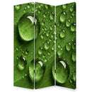 Screens Home Screen - 1" x 48" x 72" Multi-Color, Wood, Canvas, Rain - Screen HomeRoots