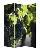 Screens Home Screen - 1" x 48" x 72" Multi-Color, Wood, Canvas, Wine Country - Screen HomeRoots