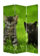 Screens Screen Door - 1" x 48" x 72" Multi-Color, Wood, Canvas, Curious Cat - Screen HomeRoots