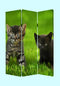 Screens Screen Door - 1" x 48" x 72" Multi-Color, Wood, Canvas, Curious Cat - Screen HomeRoots