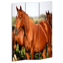 Screens Screen Door - 1" x 48" x 72" Multi-Color, Wood, Canvas, Horse - Screen HomeRoots