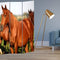 Screens Screen Door - 1" x 48" x 72" Multi-Color, Wood, Canvas, Horse - Screen HomeRoots