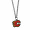 Sports Jewelry & Accessories NHL - Calgary Flames Chain Necklace with Small Charm JM Sports-7
