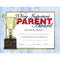 Supplies Very Important Parent Award 30 Set FLIPSIDE