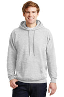 Sweatshirts/Fleece Hanes EcoSmart Pullover Hoodie P1707331 Hanes