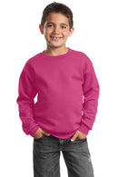 Sweatshirts/Fleece Port & Company - Youth Core Fleece Crewneck Sweatshirt. PC90Y Port & Company