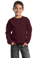 Sweatshirts/Fleece Port & Company - Youth Core Fleece Crewneck Sweatshirt. PC90Y Port & Company