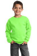 Sweatshirts/Fleece Port & Company - Youth Core Fleece Crewneck Sweatshirt. PC90Y Port & Company