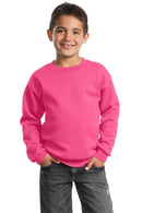 Sweatshirts/Fleece Port & Company - Youth Core Fleece Crewneck Sweatshirt. PC90Y Port & Company