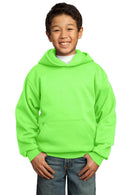 Sweatshirts/fleece Port & Company - Youth Core Fleece Pullover Hooded Sweatshirt. PC90YH Port & Company
