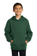Sweatshirts/Fleece Sport-Tek Youth Pullover Hooded Sweatshirt. YST254 Sport-Tek
